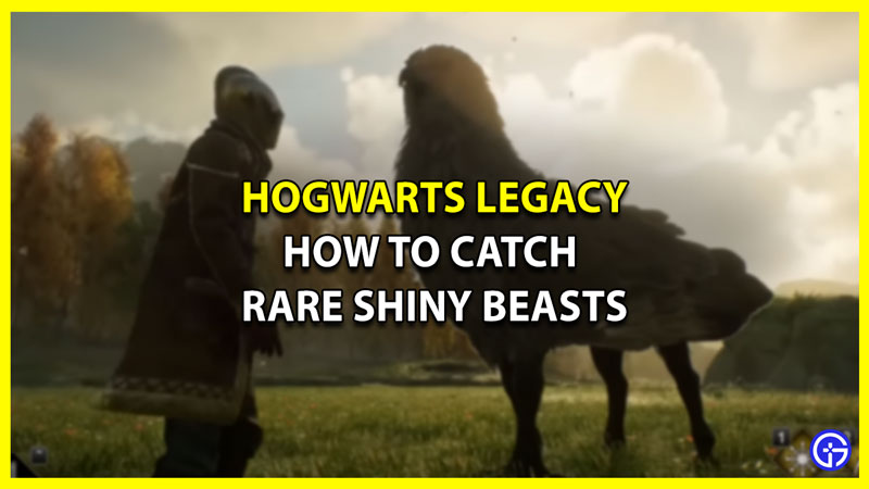 how to catch shiny beasts hogwarts legacy