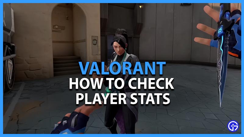 check valorant player stats