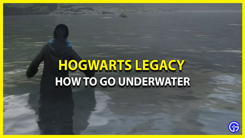 how to dive hogwarts legacy