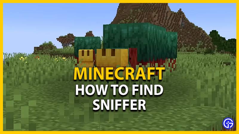 find sniffer minecraft