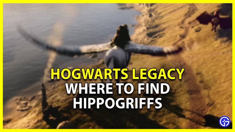 hogwarts legacy where to find hippogriffs