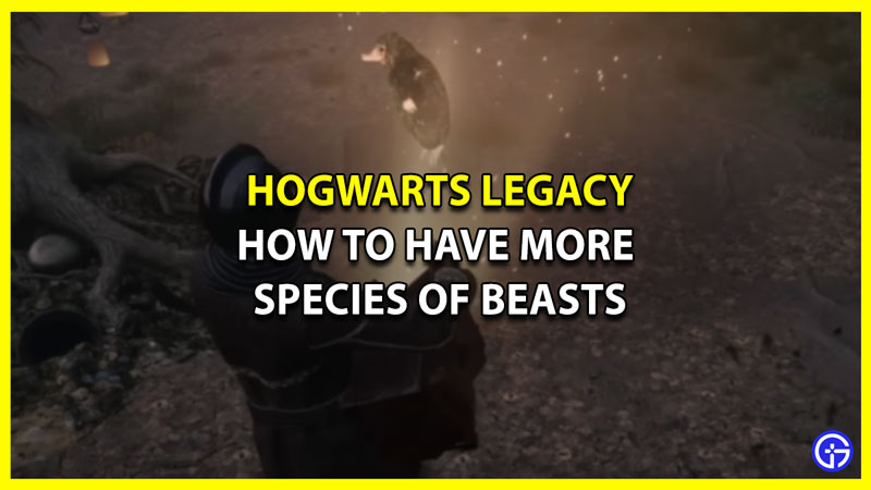 how to have more species hogwarts legacy