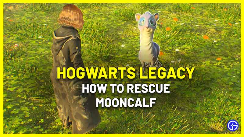 how to rescue mooncalf hogwarts legacy
