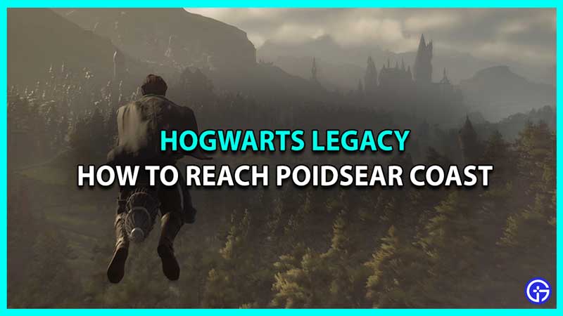 poidsear coast hogwarts legacy