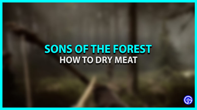 sons of the forest how to dry meat