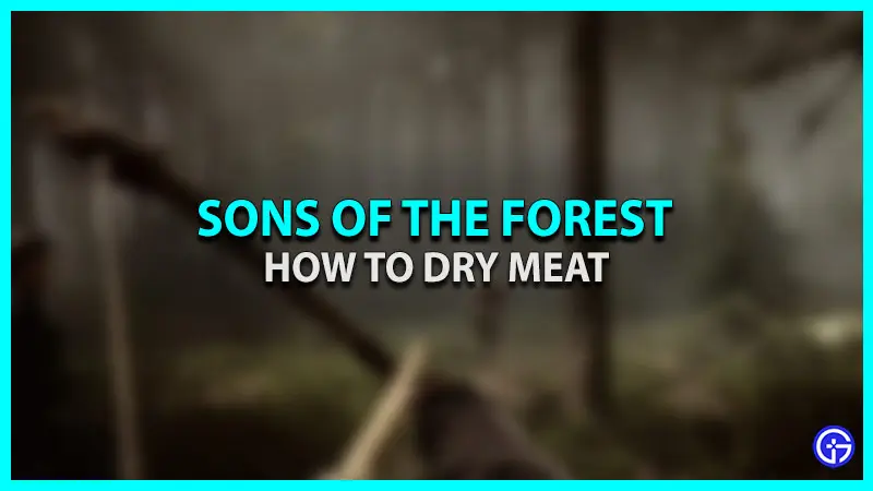 sons of the forest how to dry meat