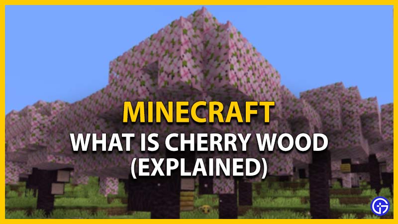cherry wood in minecraft