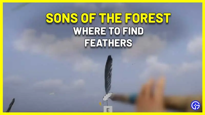 where to find feathers sons of the forest