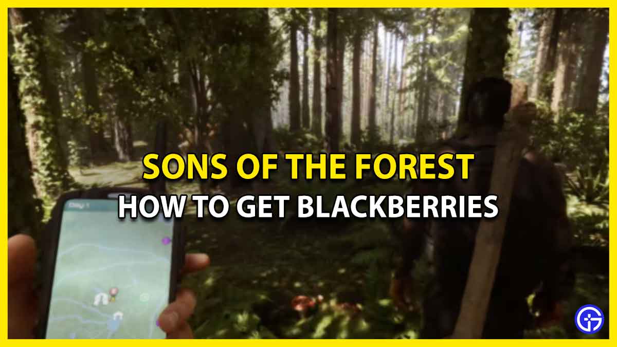 Blackberries Locations In Sons Of The Forest