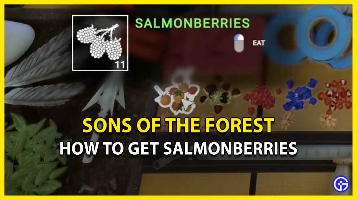 How To Get Salmonberries In Sons Of The Forest