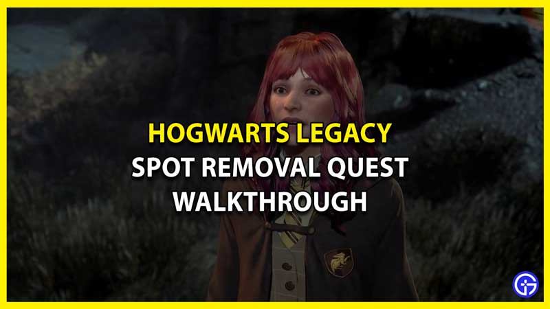 Hogwarts Legacy Spot Removal Quest Walkthrough