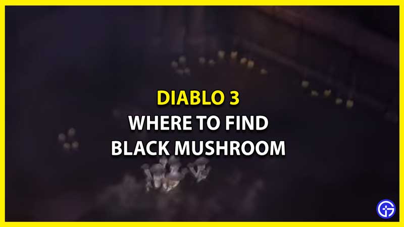 How to Get Black Mushroom in Diablo 3