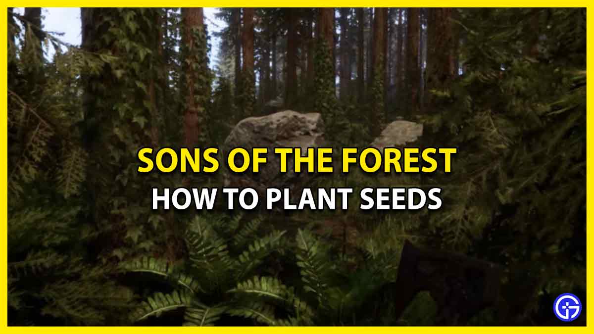 How To Plant Seeds In Sons Of The Forest