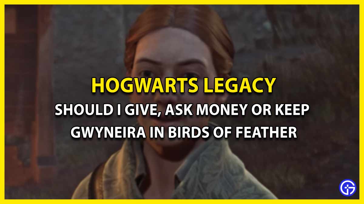 Birds of Feather Quest Should I Give, Ask Money, or Keep Gwyneira in Hogwarts Legacy