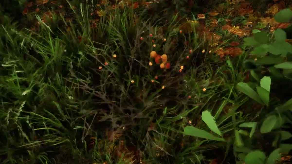Find Salmonberries in Sons of the Forest