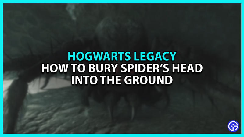 How to bury Spider's Head in Hogwarts Legacy