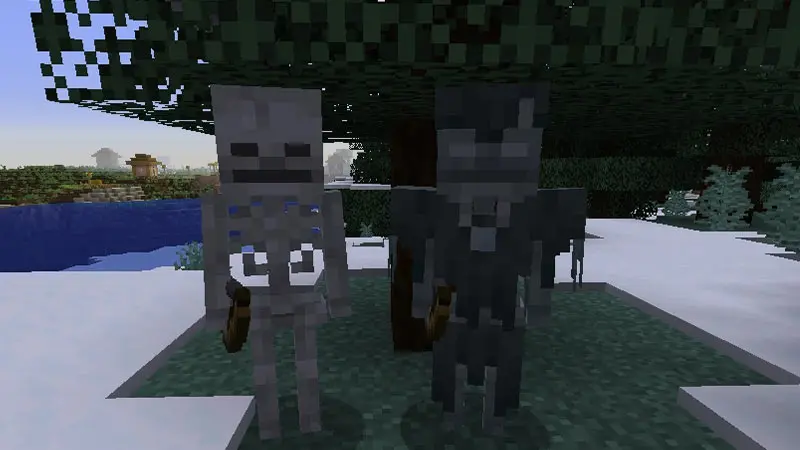 minecraft stray