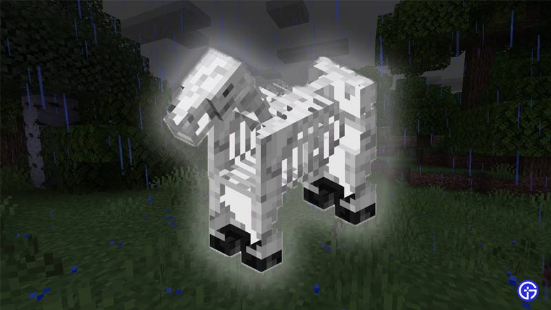 Skeleton Horse Spawn in Minecraft