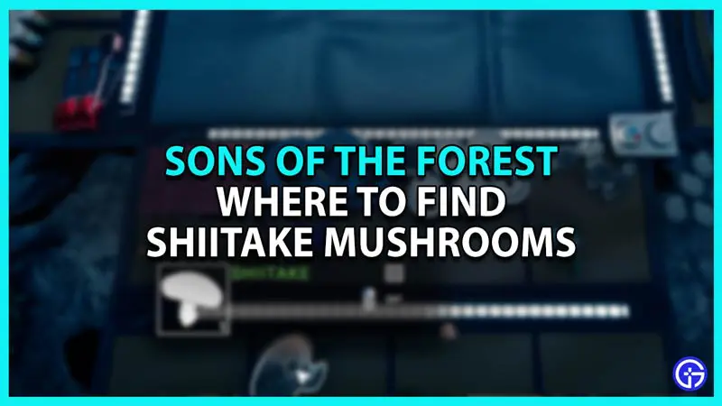 Where to Find Shiitake Mushroom location in Sons of The Forest