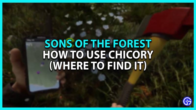 How to Use Chicory in Sons of The Forest