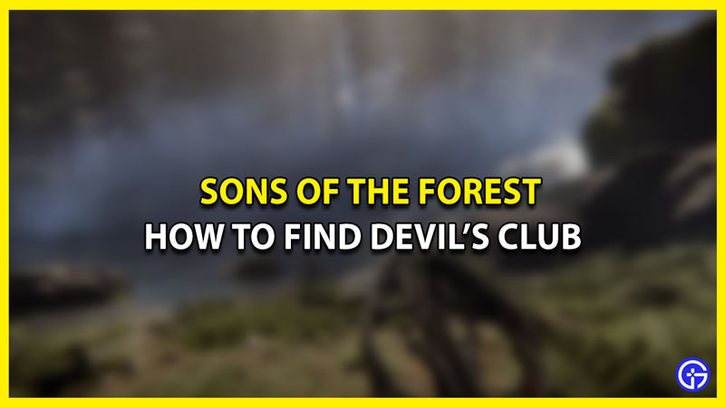 sons of the forest hwo to find devils club