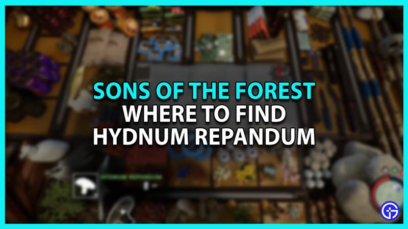 How to Find Hydnum Repandum location in Sons of the Forest