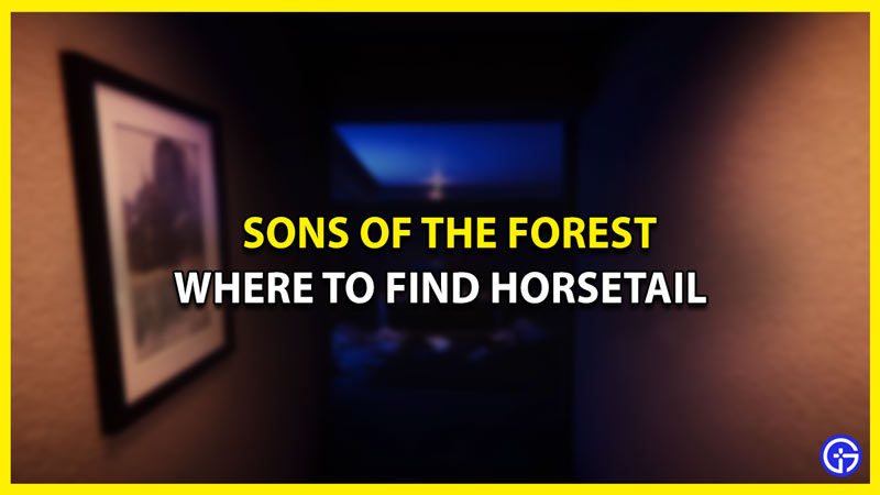 sons of the forest where to find horsetail