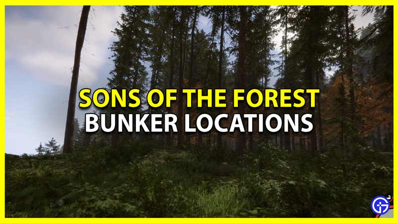 sons of the forest all bunker locations