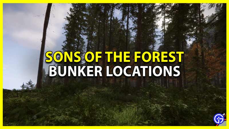 sons of the forest bunkers map