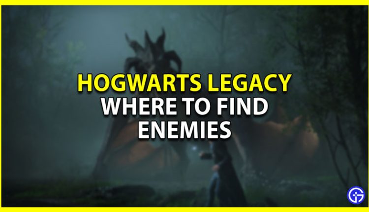 Hogwarts Legacy - Page 3 Of 32 Guides, Tips & Tricks - Gamer Tweak