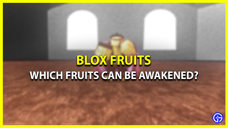 which fruits awakened blox fruits