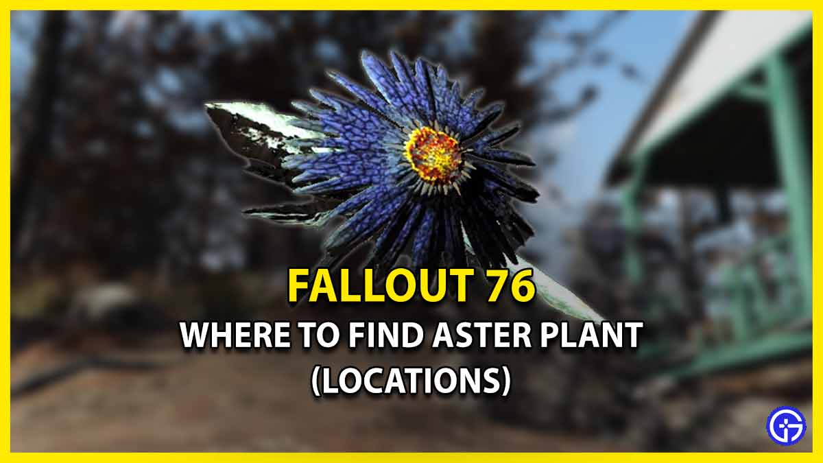 Aster Plant In Fallout 76: Where To Find It (Locations Guide)