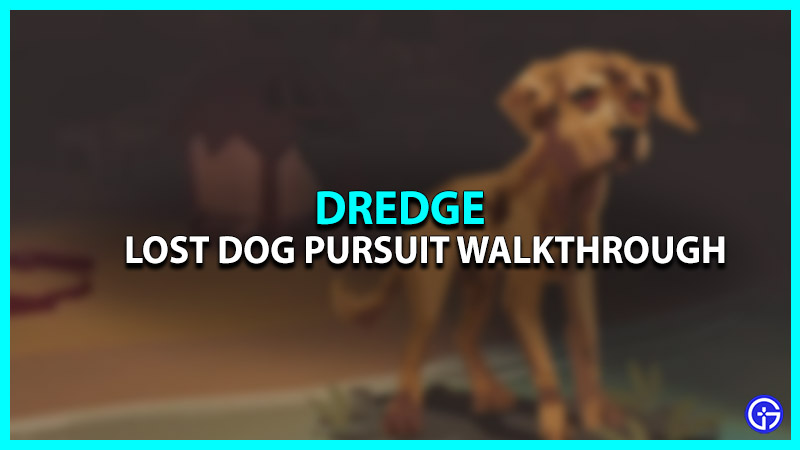 How to Complete the Lost Dog Pursuit in Dredge