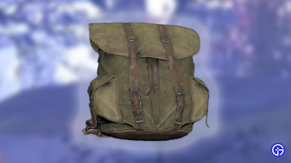 How To Get A Backpack In Fallout 76