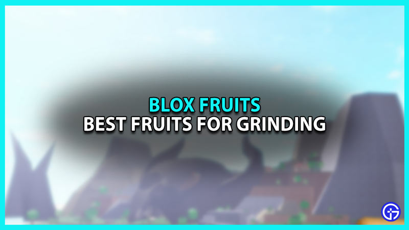 Best Fruits for Grinding in Blox Fruits