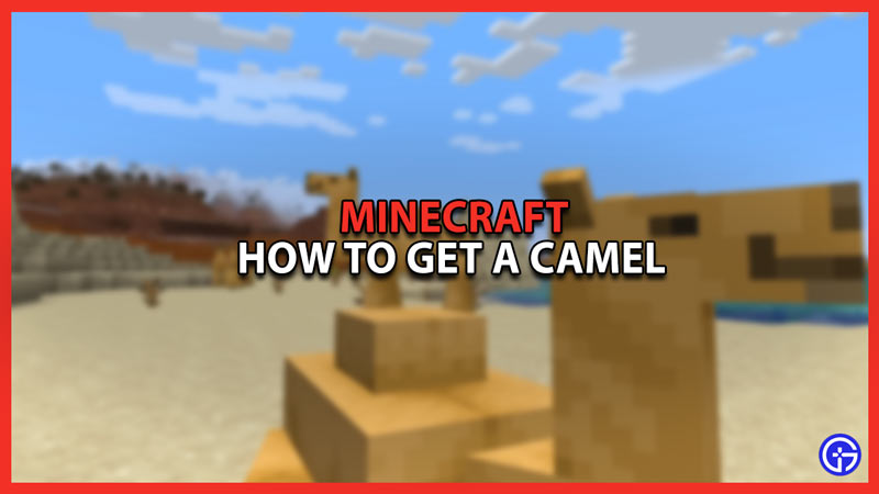 how to get a camel in minecraft