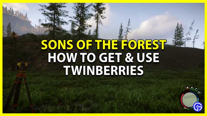 sons of the forest twinberries location