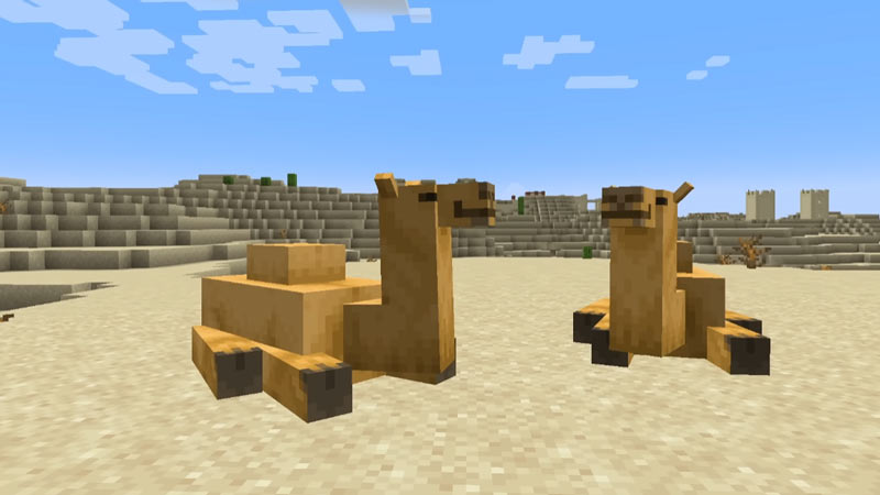 minecraft how to get a camel