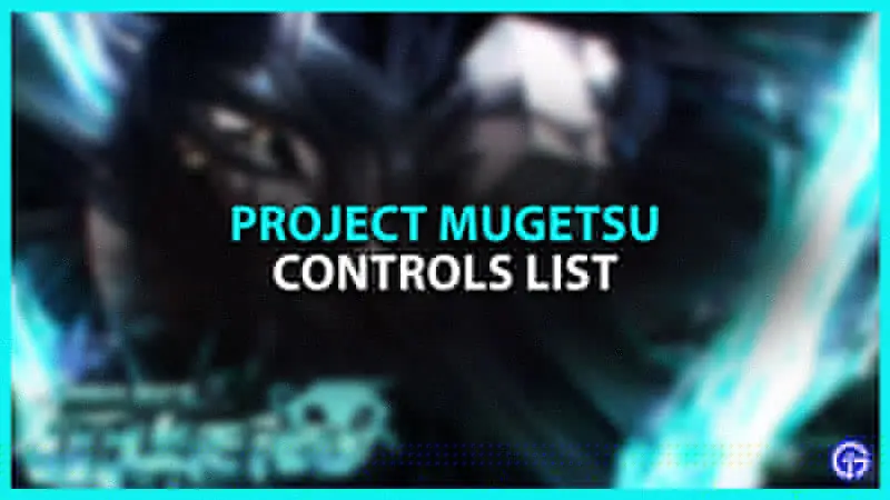 Full List of Project Mugetsu Controls