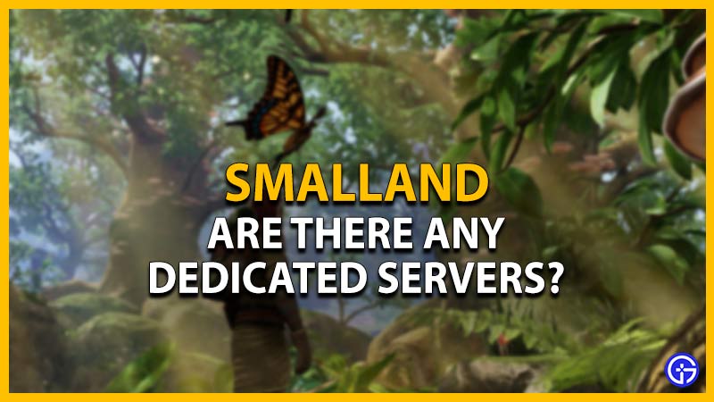 smalland dedicated server