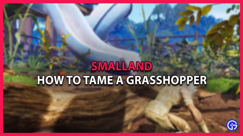 smalland how to tame a grasshopper