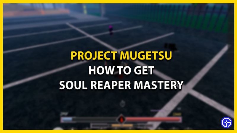 soul reaper mastery project mugetsu pm