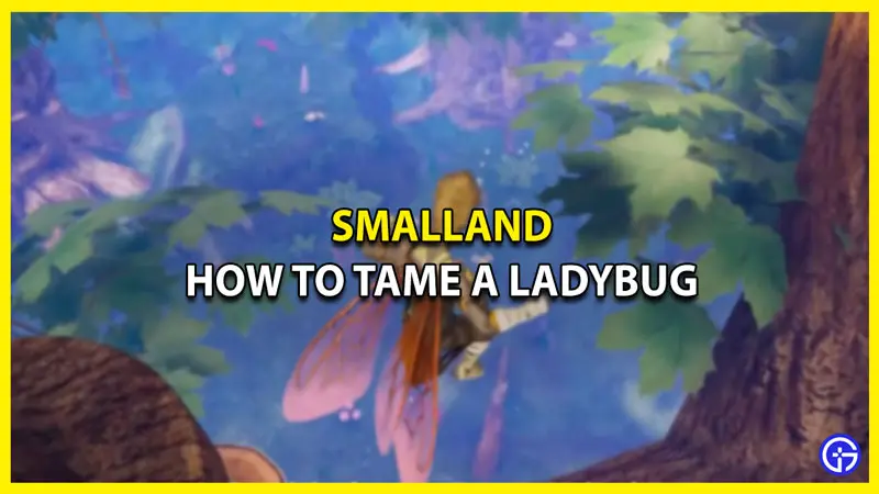 tame ladybug smalland