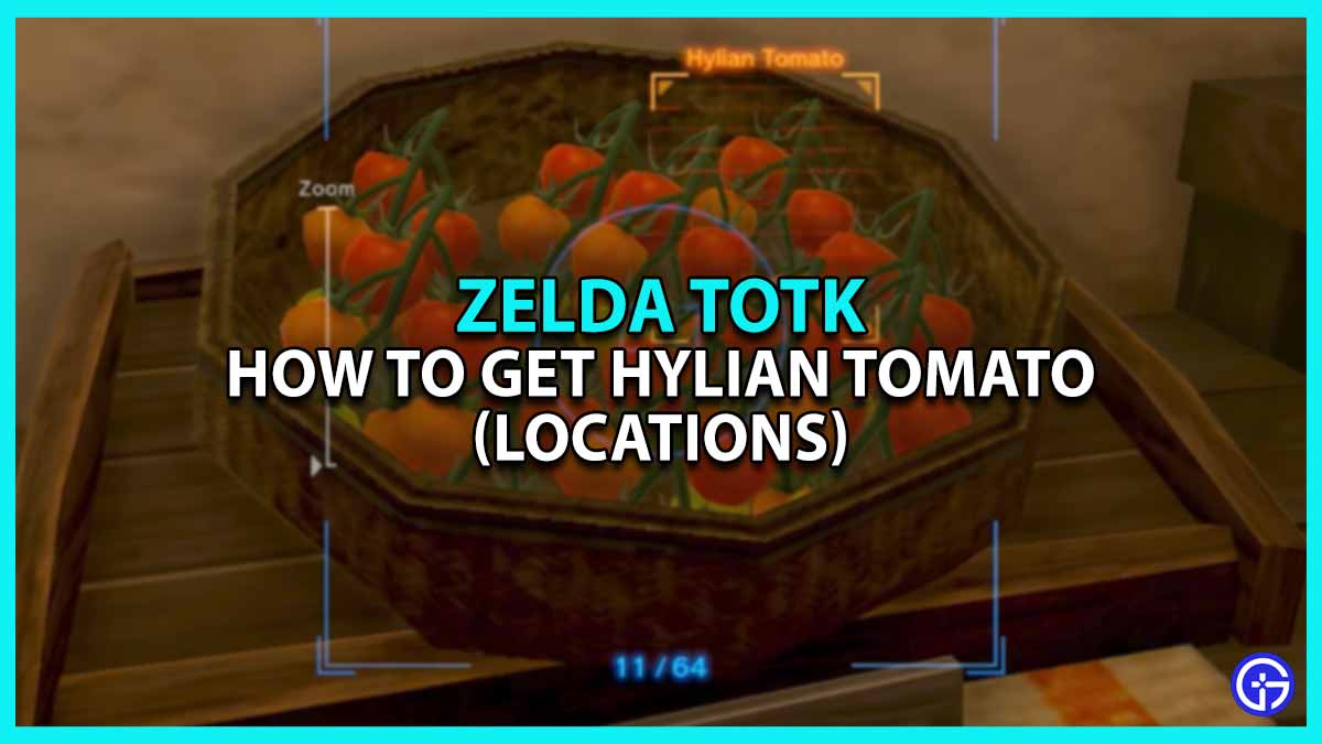 All Locations to Find Hylian Tomato in Tears of the Kingdom