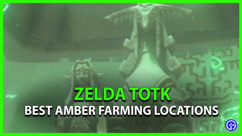 Best Amber Farming Locations