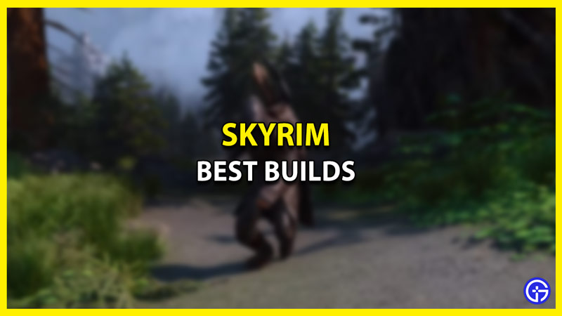 Best Elder Scrolls V Skyrim Builds