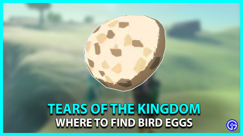 Bird Eggs Location In Zelda TOTK
