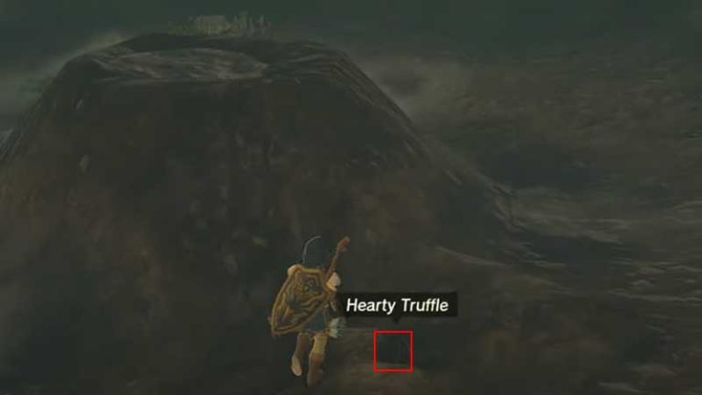 Where To Find Hearty Truffle In Zelda TOTK (Location)