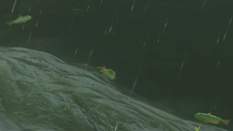Get Hyrule Bass In Zelda Tears of the Kingdom