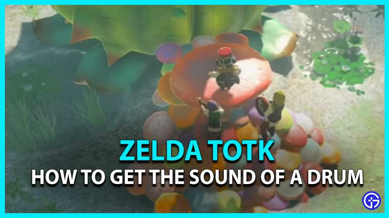 Get Sound Of A Drum In Zelda TotK